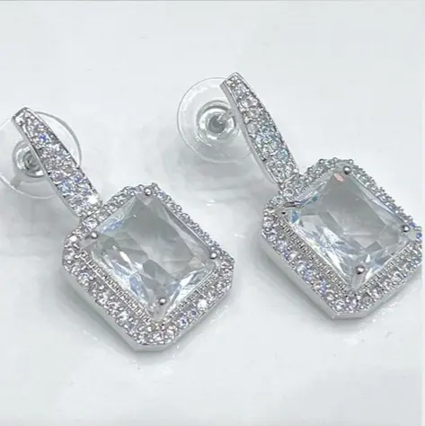 AD Earrings ERN003